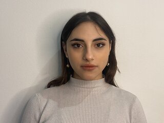 Webcam HollisBeam